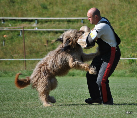 DSC_0352.JPG
