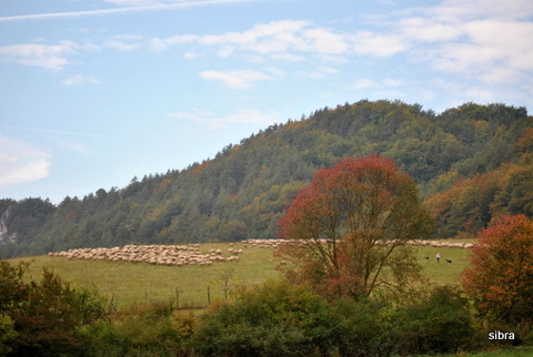 DSC_0880.JPG
