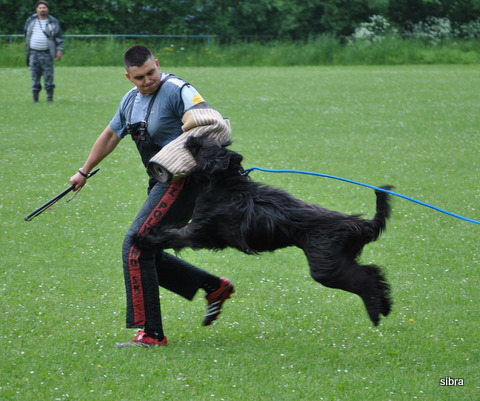DSC_0003-1.JPG
