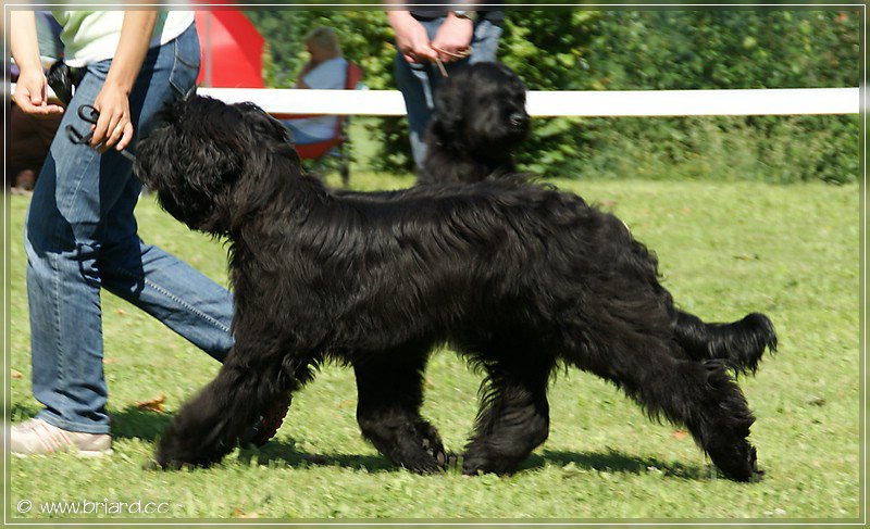griffin6m.jpg griffin6m.jpg